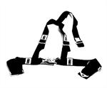 3" Lap Belt with 2" PADDED Harness Assembly, Each