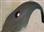 Fiberglass Rear Fender, 1939 Ford Tail Lights, Stock Width, Right, RSF-12